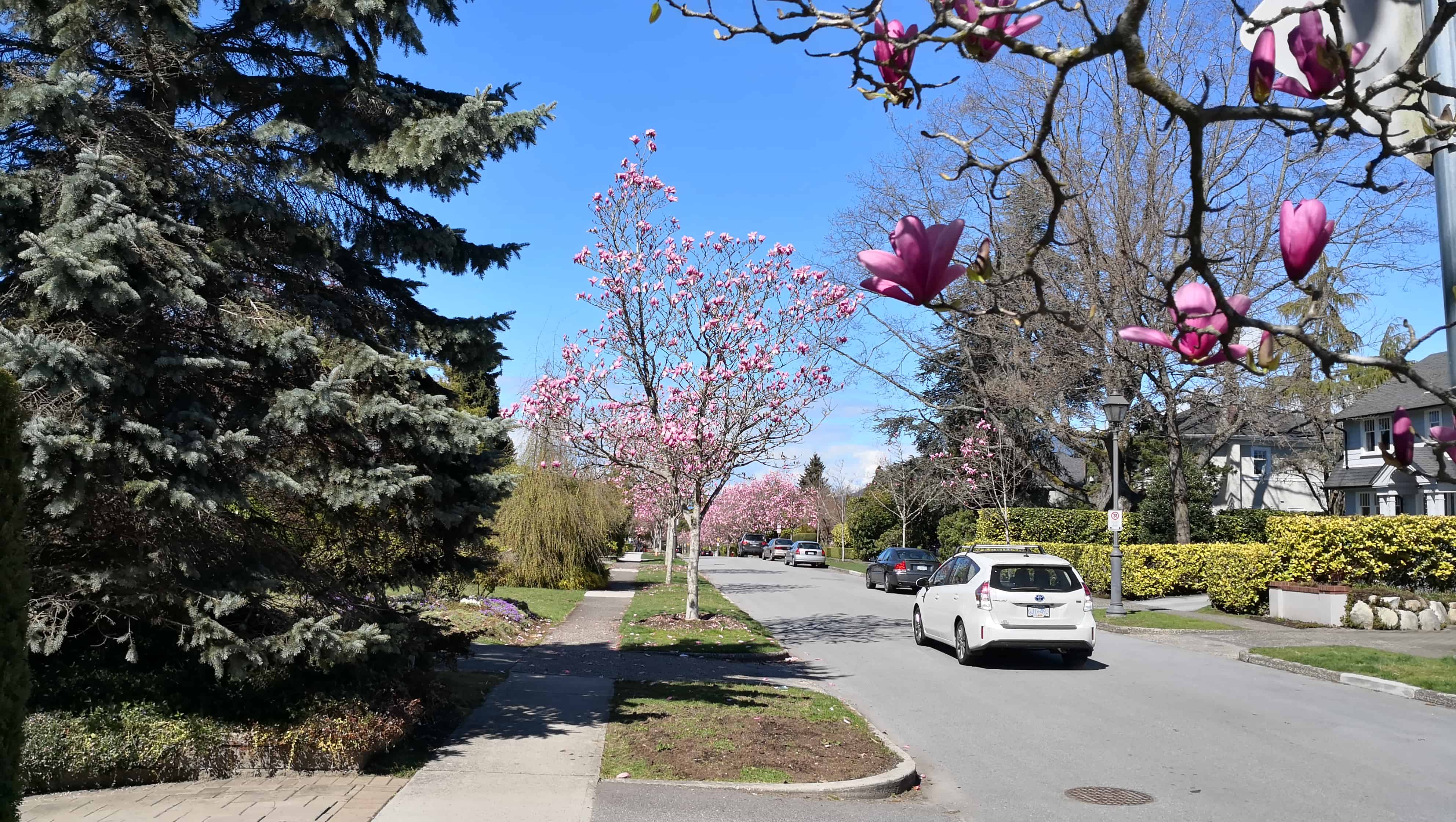 Market Review On Detached Homes In Vancouver West, 2019 1st Half