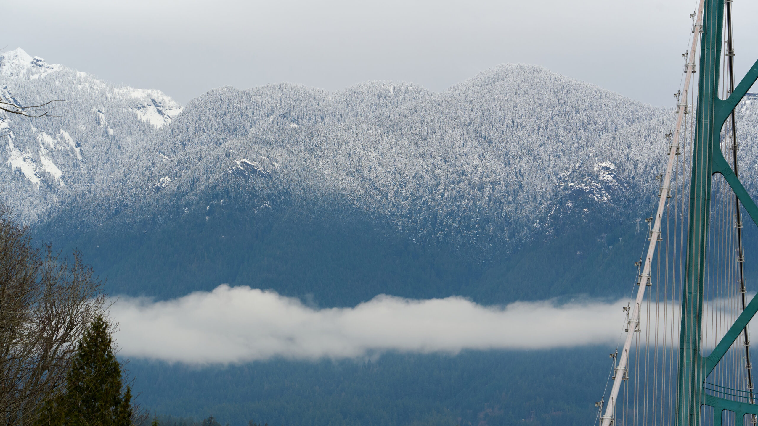 WILLIAM聊地产 #202501